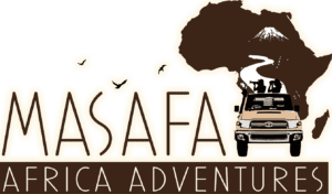 Africa’s Holiday Adventure