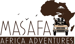 Africa’s Holiday Adventure